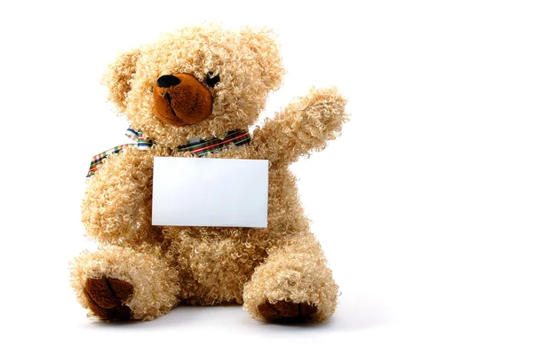 Izolované medvídek s prázdný list — Stock fotografie