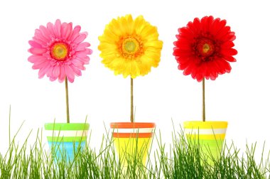 Flower clipart