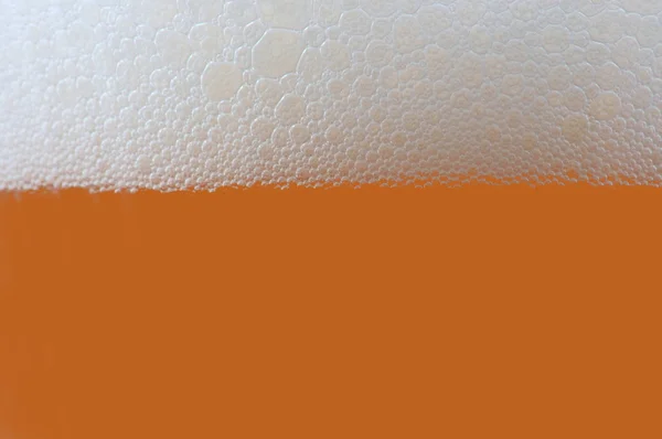 Verre de bière — Photo