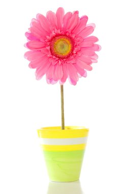 Flower in pot clipart