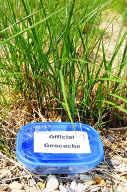 Geocache