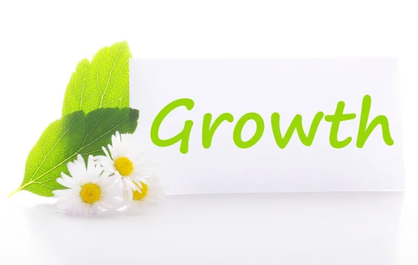 Crescimento — Fotografia de Stock