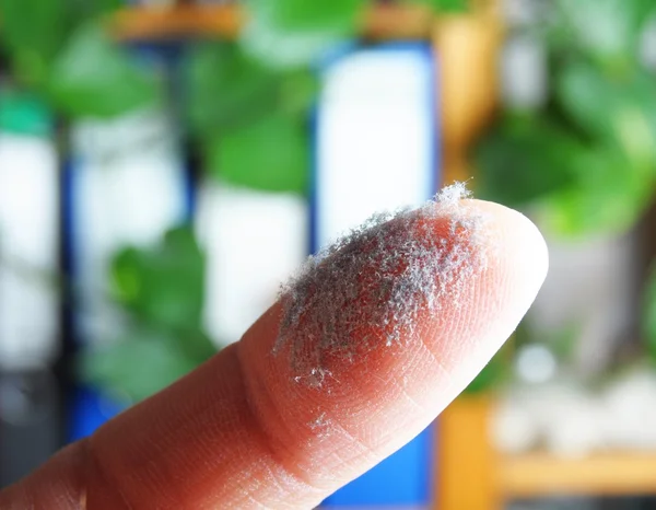 stock image Dust and finger