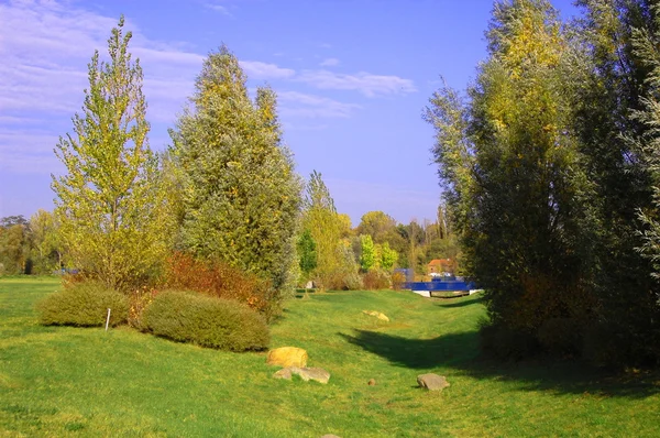 Lato w parku z zielonych drzew i traw — Zdjęcie stockowe