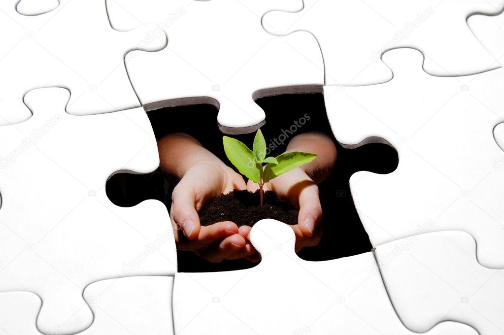 Puzzle and plant