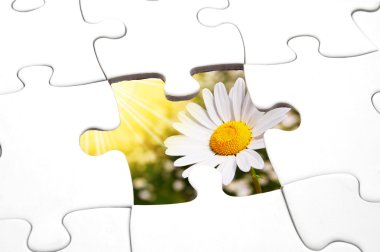 Puzzle and flower clipart