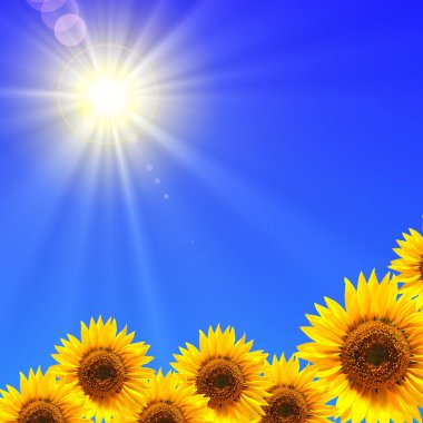 Sunflower and blue sky clipart