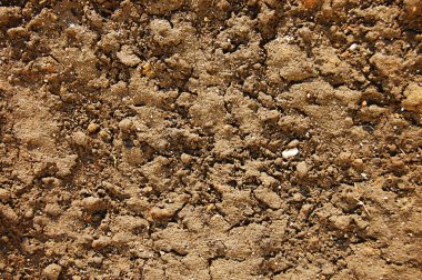 Texture of soil clipart