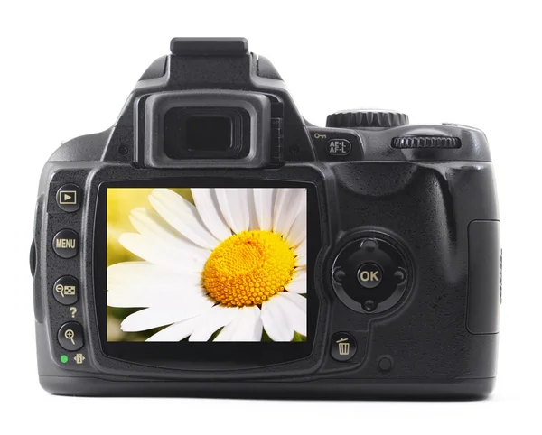 Fleur de vacances sur caméra — Photo