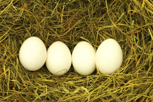 Чистое яйцо! — стоковое фото