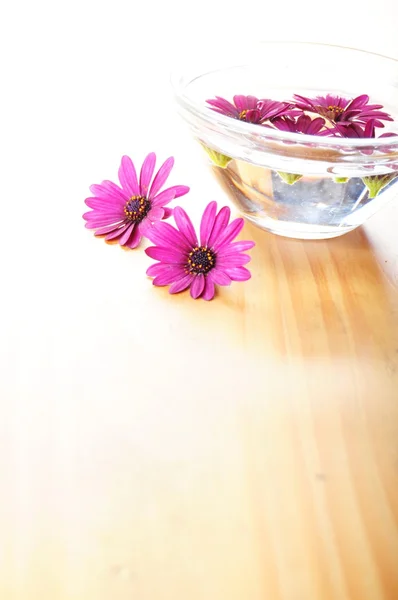 Flores de spa — Fotografia de Stock