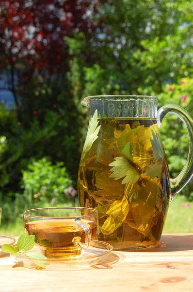 Kopje thee in de tuin — Stockfoto