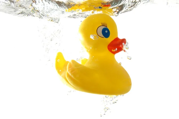 stock image Rubber duck