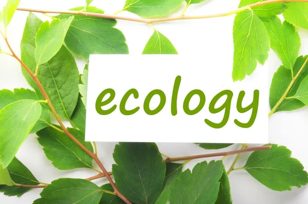 Ecologia — Fotografia de Stock