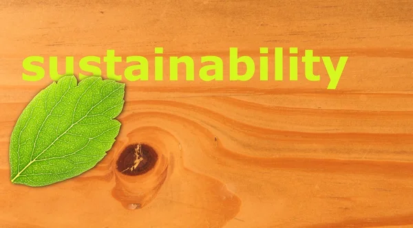 Sustainability — Stock fotografie