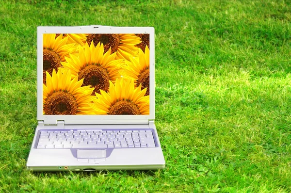 Blumen und Laptop — Stockfoto