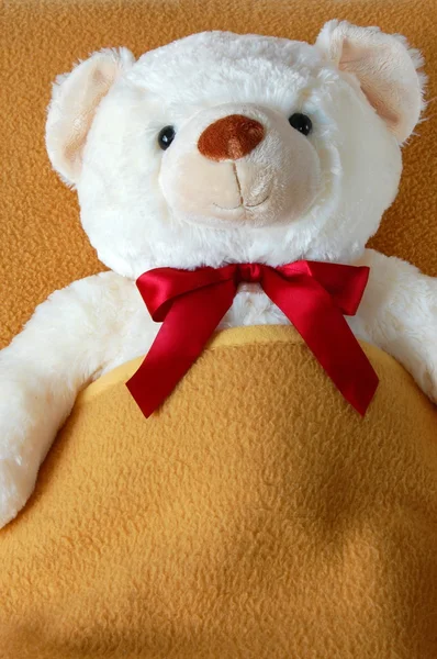 生病的玩具熊 — 图库照片