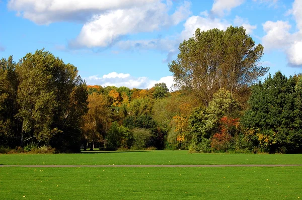 Bosque y jardín bajo el cielo azul en otoño — Foto de Stock