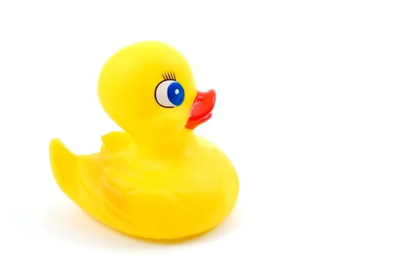Toy rubber duck — Stock Photo, Image