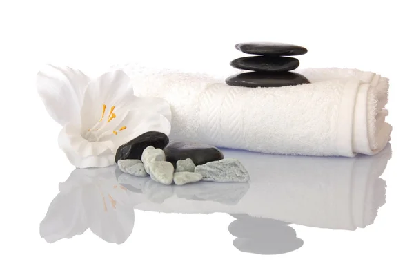 Wellness zen and spa — Stock Photo, Image