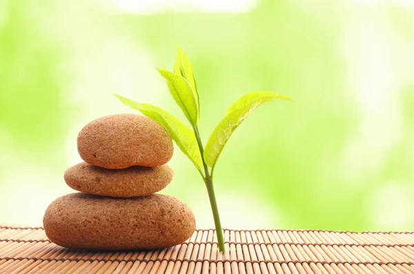 Zen stone yaprak ile — Stok fotoğraf