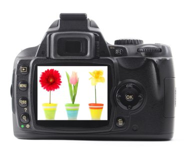 Dslr with summer flower clipart