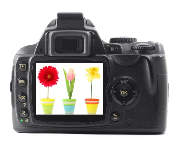 夏の花とデジタル一眼レフ — ストック写真