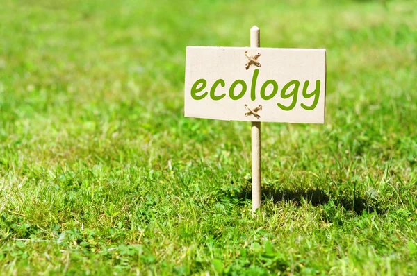 Ökologie — Stockfoto