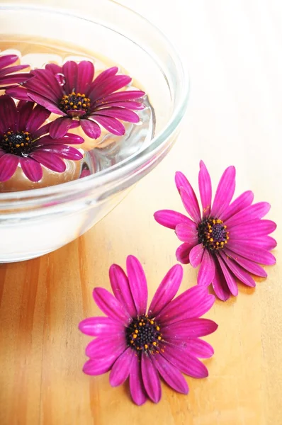 Spa flowers — Stock Photo, Image
