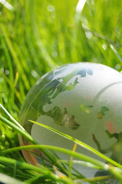 Glass globe or earth in grass — Stock Photo, Image