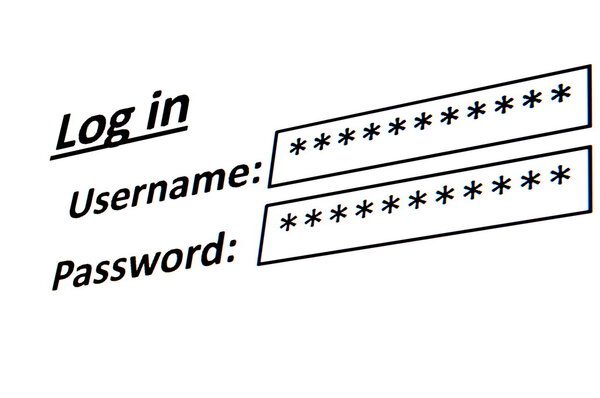 Login on a website in the internet