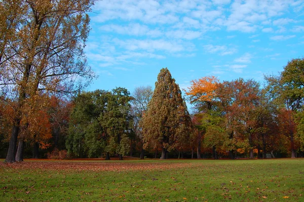 Caída en el parque con árboles verdes bajo el cielo azul — Foto de Stock