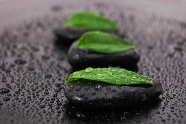 Conceito de bem-estar pedra Zen — Fotografia de Stock