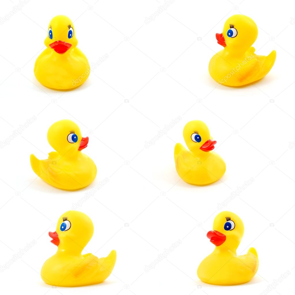 Toy rubber duck