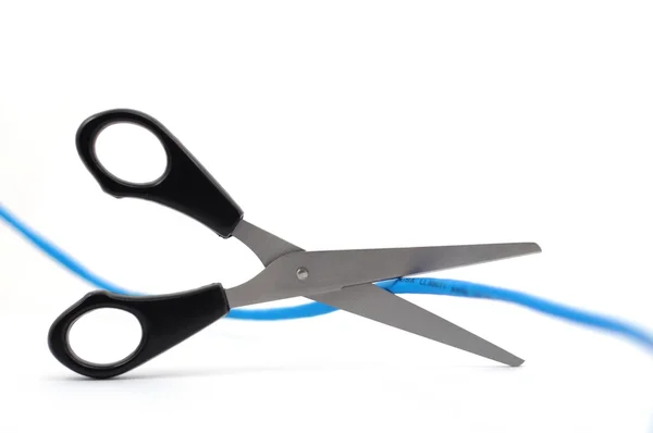 Network cable and scissors — Stock Photo, Image