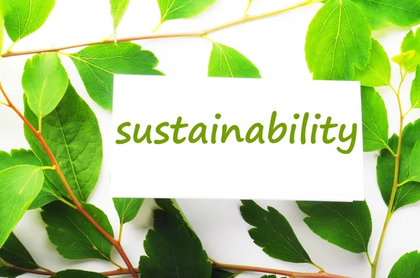 Duurzaamheid — Stockfoto