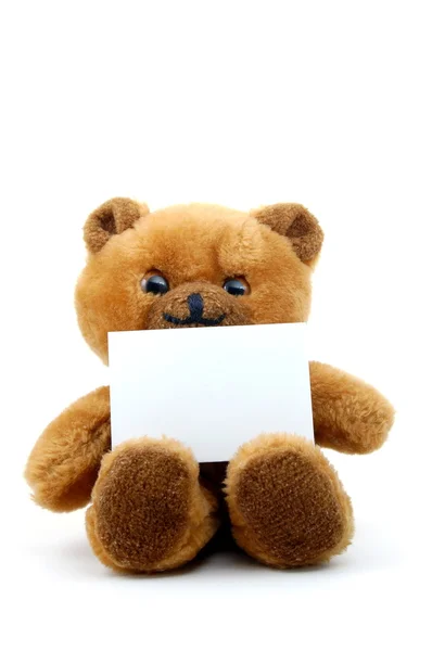 Izolované medvídek s prázdný list — Stock fotografie