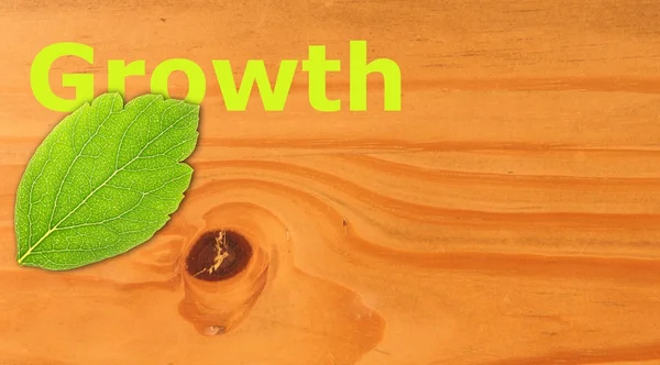 Wachstum — Stockfoto