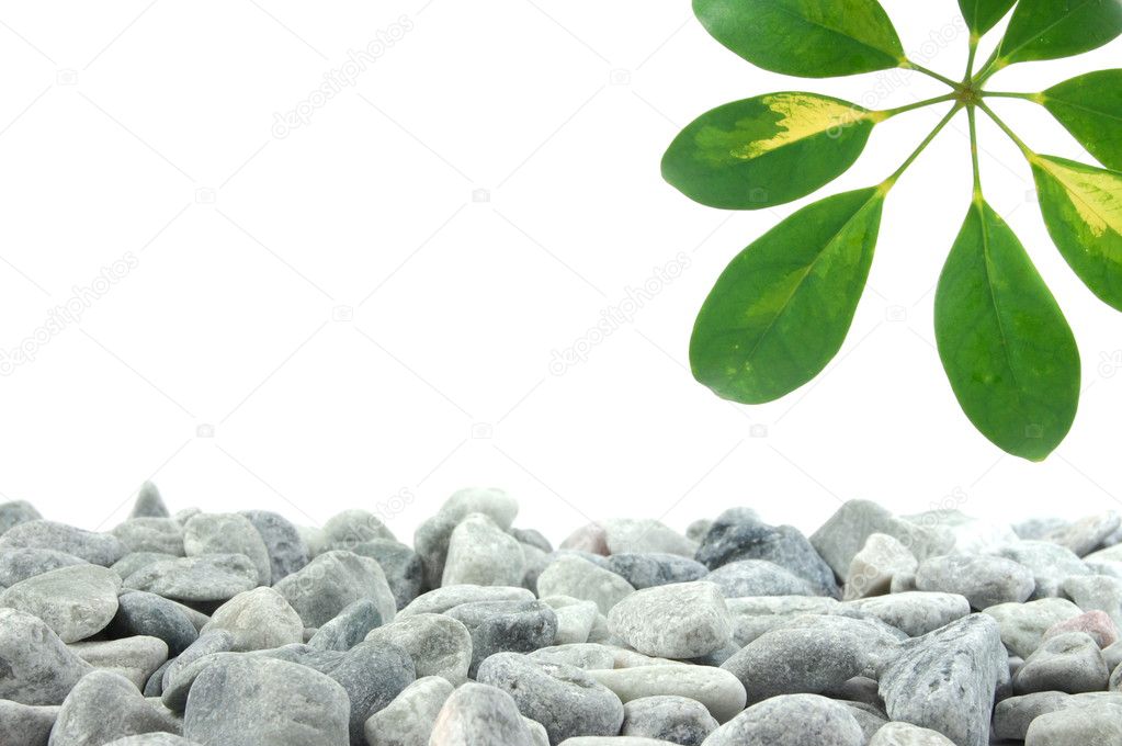 Stones and leaf