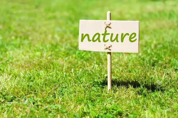 Naturaleza — Foto de Stock
