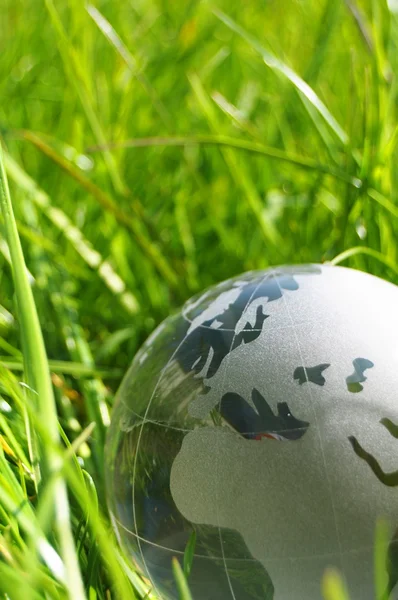 Скляний глобус або земля в траві — стокове фото