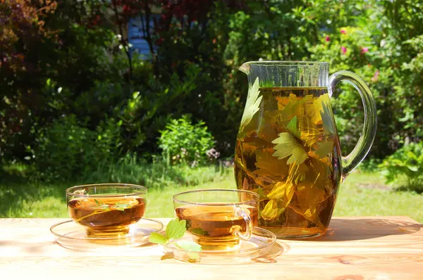 Taza de té en el jardín —  Fotos de Stock