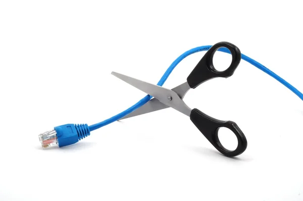 Network cable and scissors — Stock Photo, Image