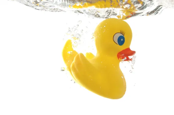stock image Rubber duck