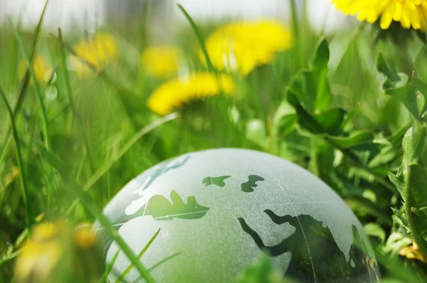 Стеклянный шар или земля в траве — стоковое фото