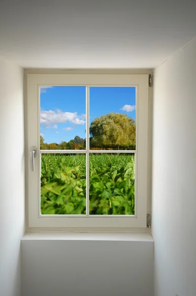 Fenster und Natur — Stockfoto