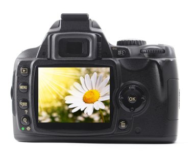 Holiday flower on camera clipart