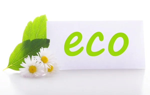 Eco — Fotografia de Stock
