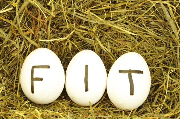 Fit — Stock Photo, Image