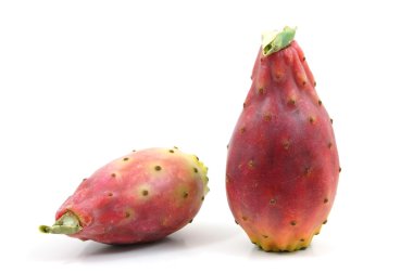 Dragon fruit clipart